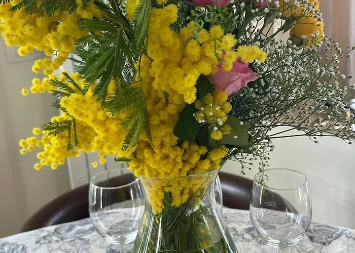 Apartament Casa Giacometti Vue Lumiere Et Horizon *