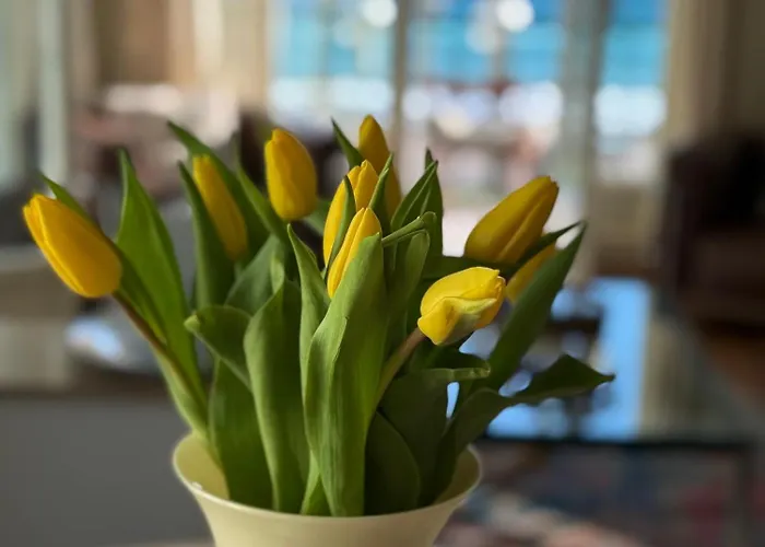 Casa Giacometti Vue Lumiere Et Horizon Apartmán *